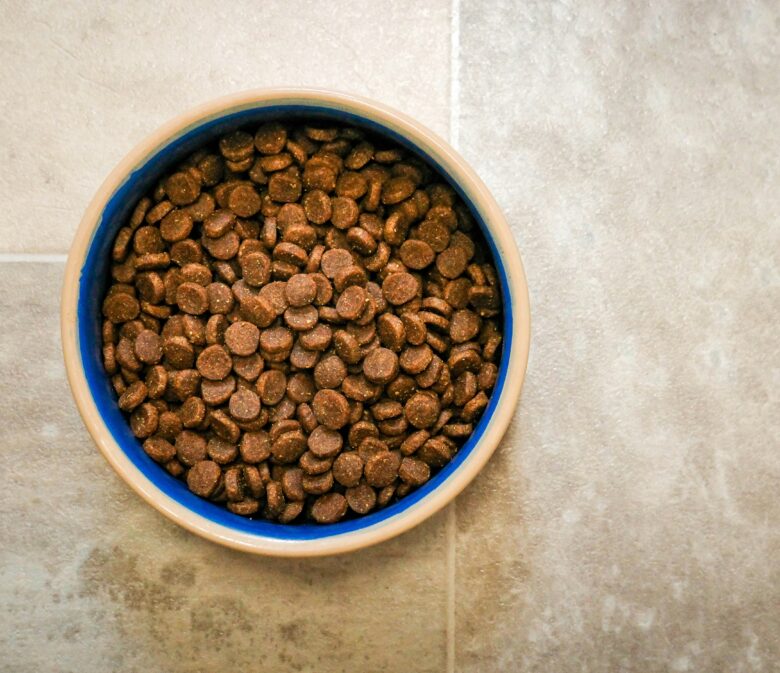 everyday spend like dog food can earn travel points